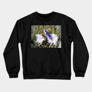 chicory flowers 5 Crewneck Sweatshirt